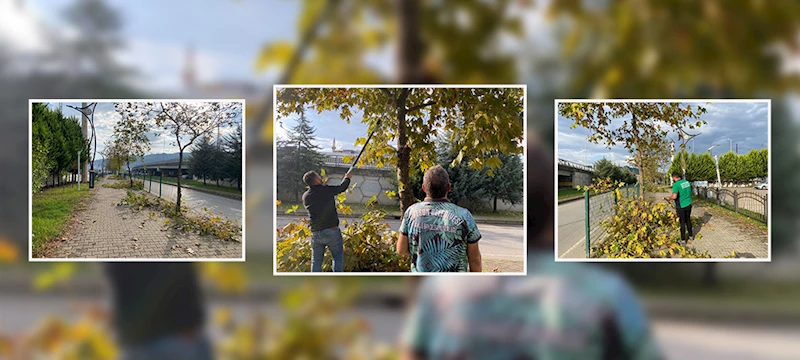PARK VE BAHÇE EKİPLERİ ÇALIŞMALARINI SÜRDÜRÜYOR