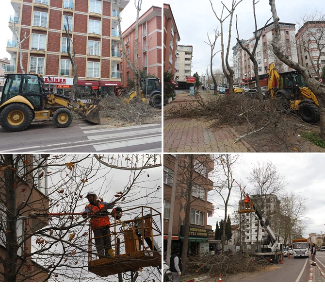 KARTAL’DA BUDANAN AĞAÇLAR İHTİYAÇ SAHİPLERİNE YAKACAK OLARAK GERİ DÖNÜYOR