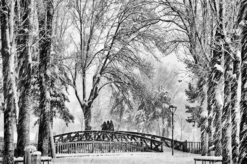 Fotoğraf Yarışması Sonuçları Açıklandı