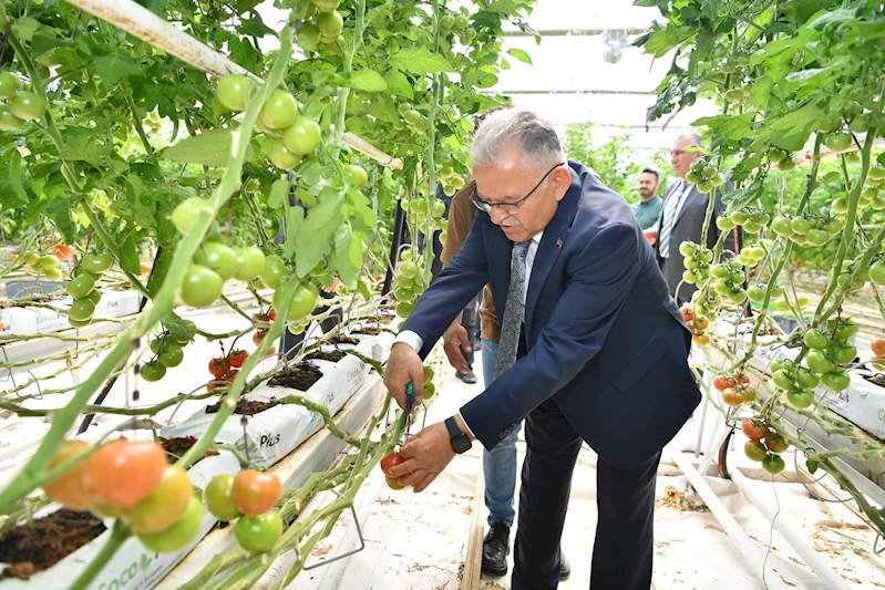 Büyükkılıç, Tarıma Dayalı Sera İhtisas OSB Yapılacak Alanda İncelemlerde Bulundu