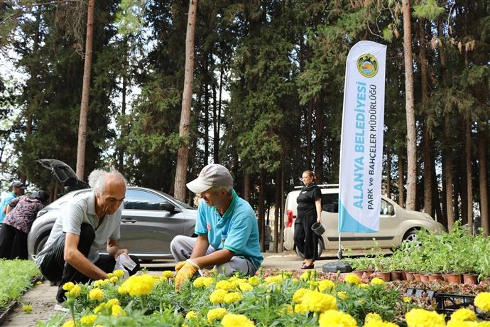 ALANYA BELEDİYESİ RAMAZAN BAYRAMINDA 31 MEZARLIKTA ÜCRETSİZ 62 BİN ÇİÇEK DAĞITACAK