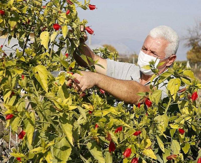 Üreten Belediye