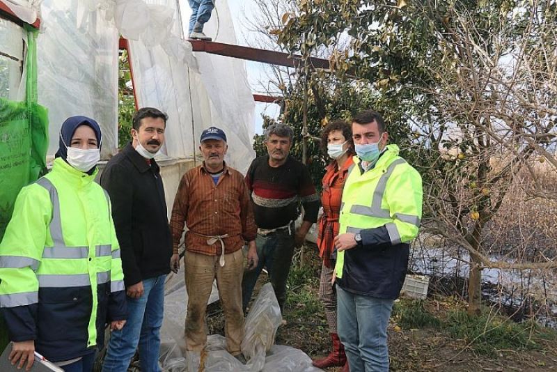 Yangında serası zarar gören üreticiye destek