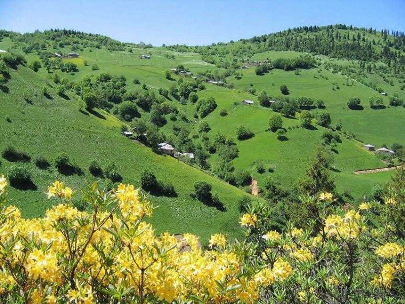 Giresun Yaylalarında Sonbahar