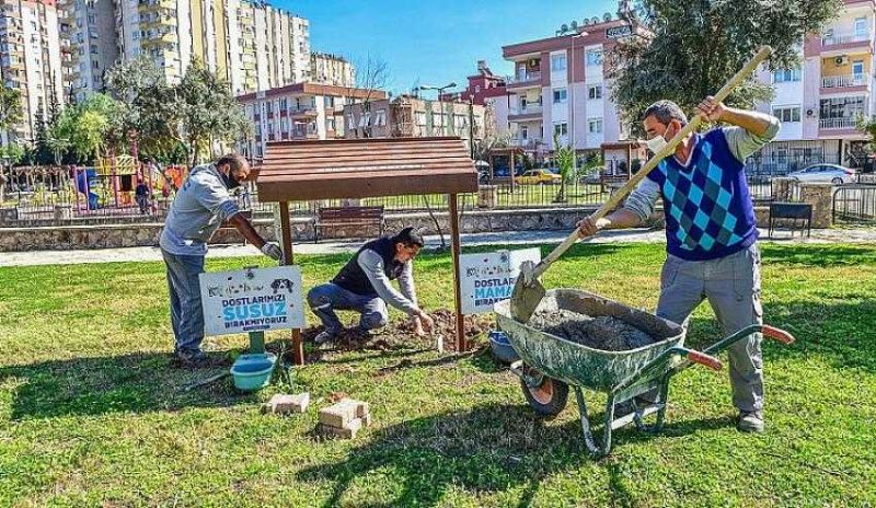 Kediye, köpeğe, kuşa da yuva