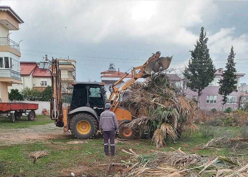 Parklarda Hummalı Çalışma 